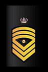 Fleet Senior Master Chief